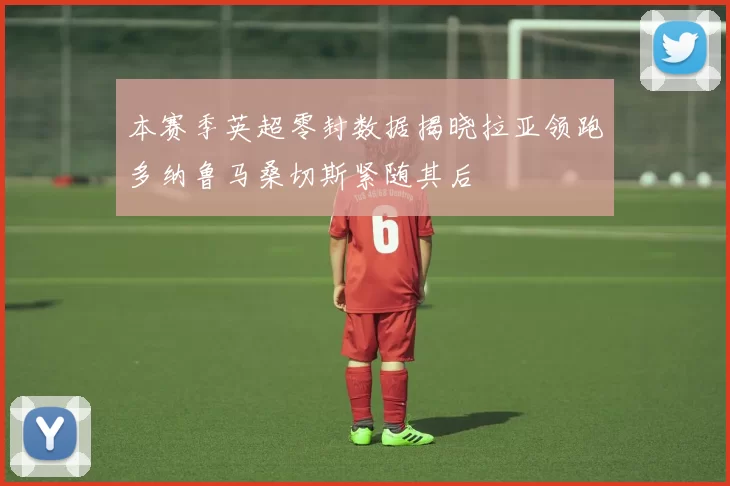 本赛季英超零封数据揭晓拉亚领跑多纳鲁马桑切斯紧随其后