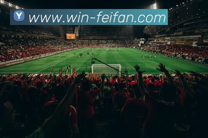 非凡娱乐平台生态图